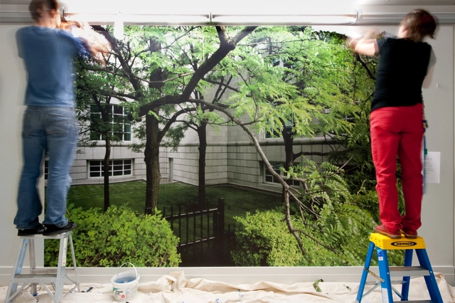 Curatorial Opportunities' Program at the CCA - Featured Image