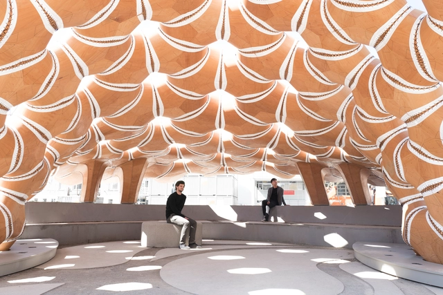 Pavilhão de Pesquisa ICD-ITKE 2015-16 / ICD-ITKE Universidade de Stuttgart - Outras Estruturas