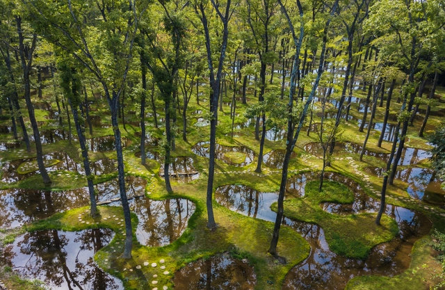 Art Biotop Water Garden Recognized with Inaugural Obel Award - Featured Image