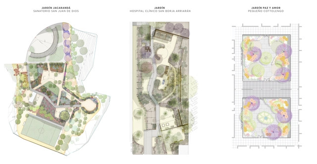 Healing Gardens: Nature as Therapy in Hospitals - Featured Image
