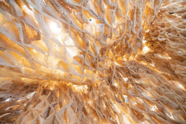 Materiales ecológicos: 8 nuevos productos para reducir las emisiones de carbono - Imagen Principal