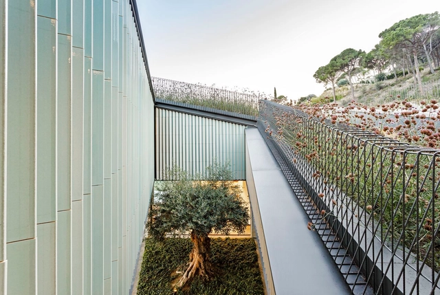 What are the Interior Courtyards of Spanish Houses like? 10 Examples in Contemporary Architecture and Design - Featured Image