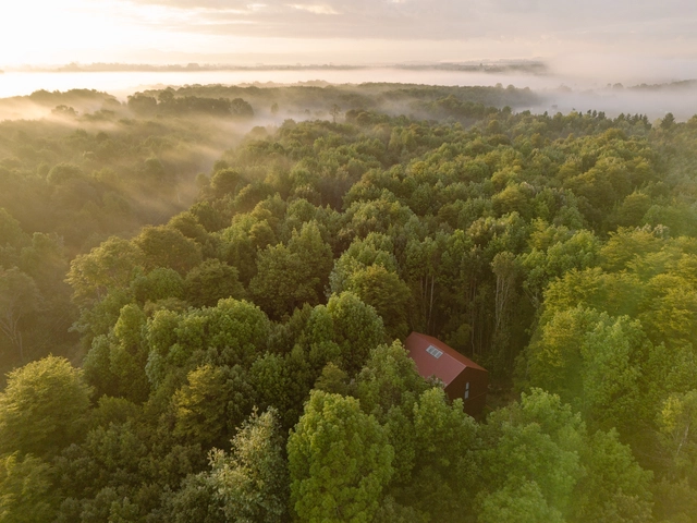 House in the Forest / Daiber & Aceituno Arquitectos - Exterior Photography, Houses, Forest