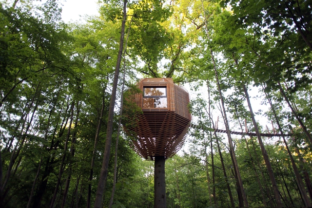 Construir entre ramas: una muestra de arquitectura contemporánea de casas en los árboles - Imagen Principal