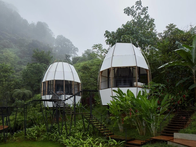 Refuges in the Latin American Jungle: 7 Lodges to Connect With Nature - Featured Image