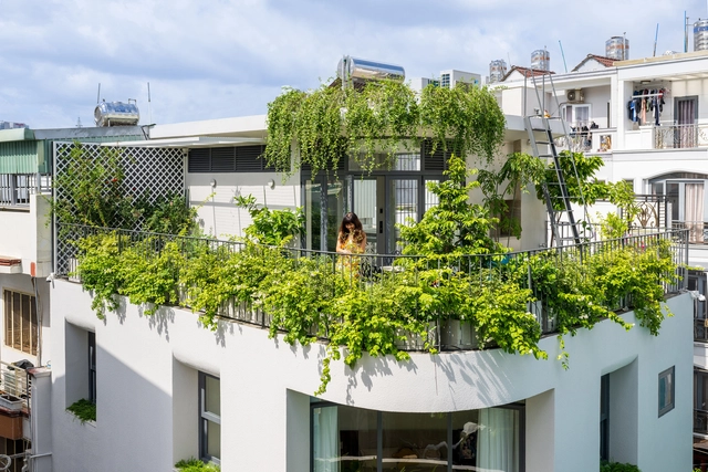 Urban Sanctuaries: Creating Peaceful Homes Amidst City Chaos - Featured Image